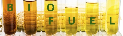 biofuel ethanol
